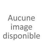 Fêtes des mères